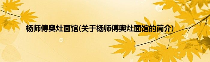 杨师傅奥灶面馆(关于杨师傅奥灶面馆的简介)