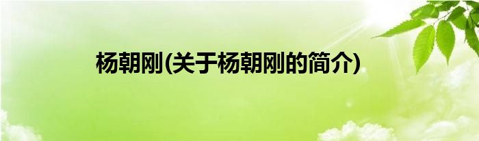 杨朝刚(关于杨朝刚的简介)