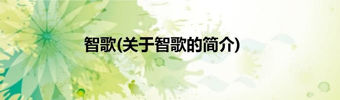 智歌(关于智歌的简介)