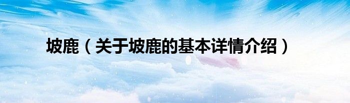 坡鹿（关于坡鹿的基本详情介绍）