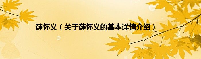 薛怀义（关于薛怀义的基本详情介绍）