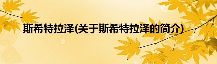 斯希特拉泽(关于斯希特拉泽的简介)