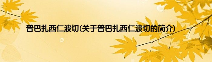 普巴扎西仁波切(关于普巴扎西仁波切的简介)