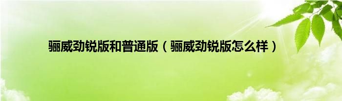 骊威劲锐版和普通版（骊威劲锐版怎么样）