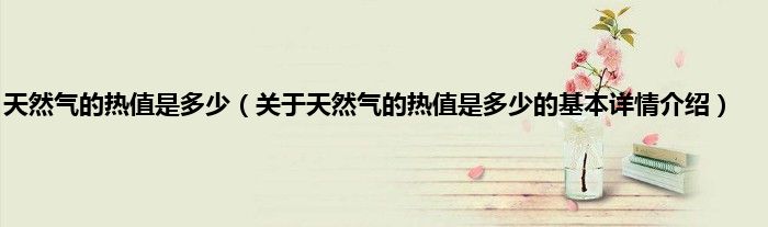天然气的热值是多少（关于天然气的热值是多少的基本详情介绍）
