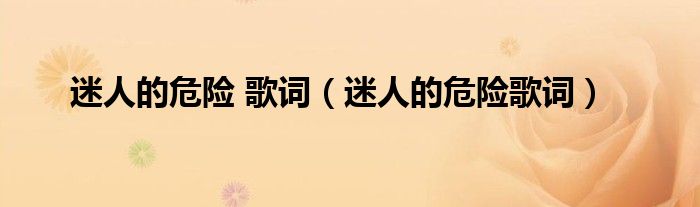 迷人的危险 歌词（迷人的危险歌词）