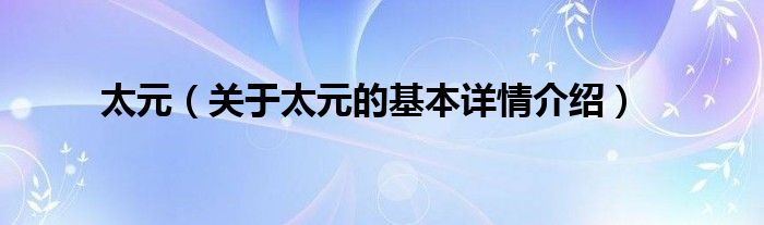 太元（关于太元的基本详情介绍）