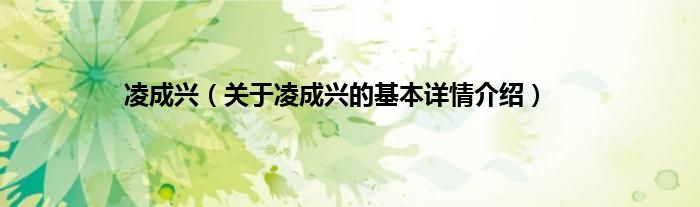 凌成兴（关于凌成兴的基本详情介绍）