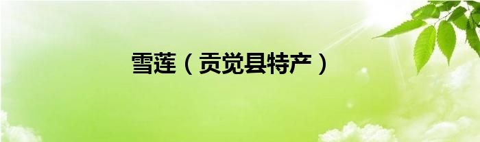 雪莲(贡觉县特产)