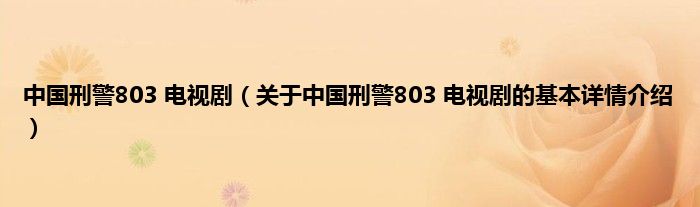 中国刑警803 电视剧（关于中国刑警803 电视剧的基本详情介绍）