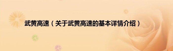武黄高速（关于武黄高速的基本详情介绍）