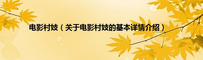 电影村妓（关于电影村妓的基本详情介绍）