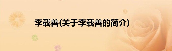 李载善(关于李载善的简介)