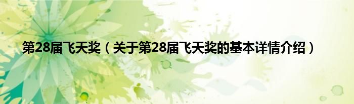 第28届飞天奖（关于第28届飞天奖的基本详情介绍）