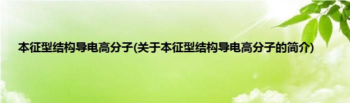 本征型结构导电高分子(关于本征型结构导电高分子的简介)