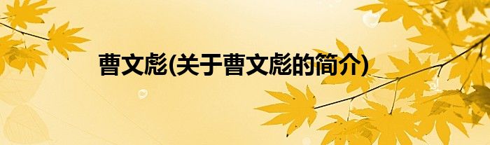 曹文彪(关于曹文彪的简介)