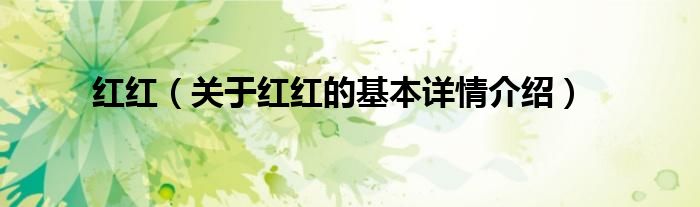 红红(关于红红的基本详情介绍)