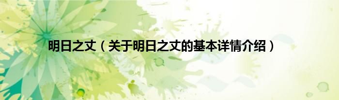 明日之丈（关于明日之丈的基本详情介绍）