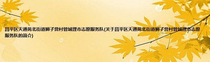 昌平区天通苑北街道狮子营村管城理市志愿服务队(关于昌平区天通苑北街道狮子营村管城理市志愿服务队的简介)