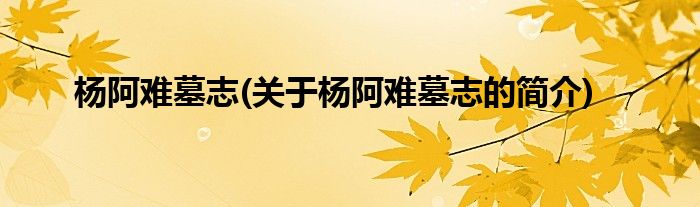 杨阿难墓志(关于杨阿难墓志的简介)