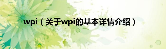 wpi（关于wpi的基本详情介绍）