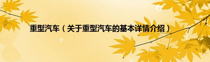 重型汽车（关于重型汽车的基本详情介绍）