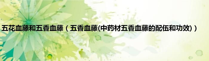 五花血藤和五香血藤（五香血藤(中药材五香血藤的配伍和功效)）
