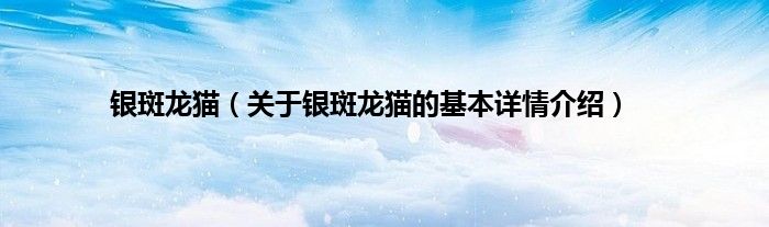 银斑龙猫（关于银斑龙猫的基本详情介绍）