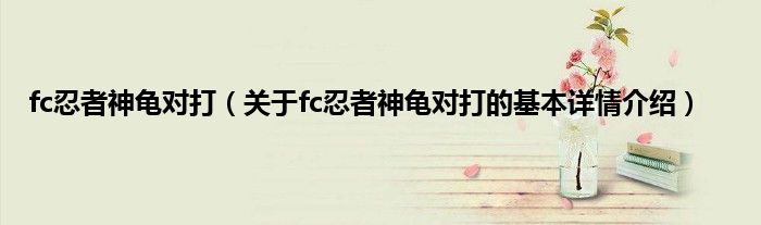 fc忍者神龟对打(关于fc忍者神龟对打的基本详情介绍)