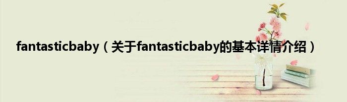 fantasticbaby（关于fantasticbaby的基本详情介绍）