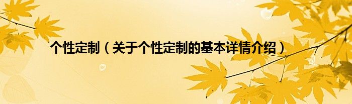 个性定制（关于个性定制的基本详情介绍）