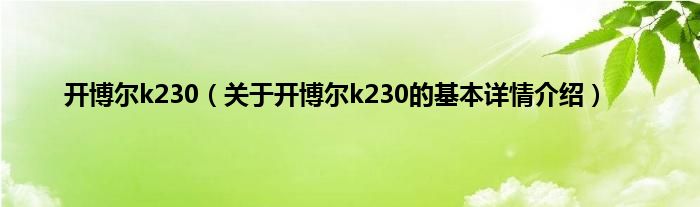 开博尔k230（关于开博尔k230的基本详情介绍）
