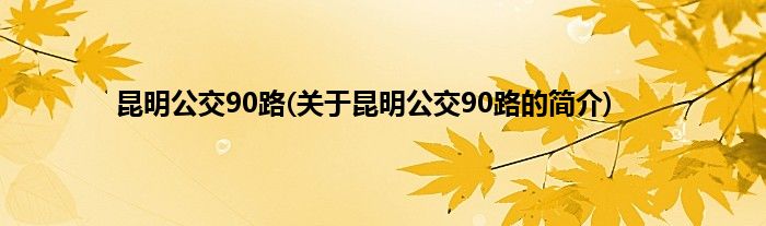 昆明公交90路(关于昆明公交90路的简介)