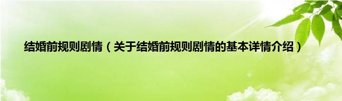 结婚前规则剧情（关于结婚前规则剧情的基本详情介绍）