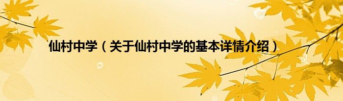 仙村中学（关于仙村中学的基本详情介绍）