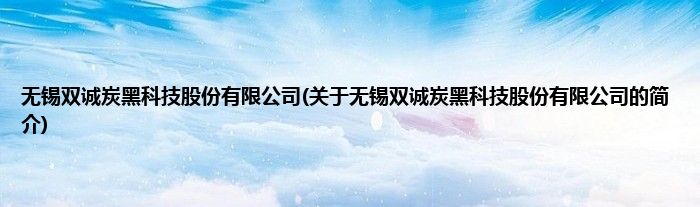 无锡双诚炭黑科技股份有限公司(关于无锡双诚炭黑科技股份有限公司的简介)