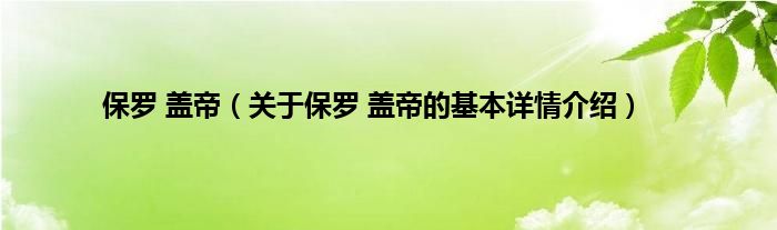 保罗 盖帝（关于保罗 盖帝的基本详情介绍）