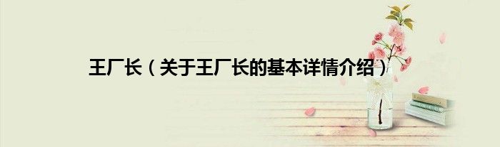 王厂长（关于王厂长的基本详情介绍）