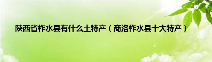 陕西省柞水县有什么土特产（商洛柞水县十大特产）