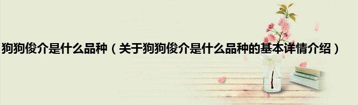 狗狗俊介是什么品种（关于狗狗俊介是什么品种的基本详情介绍）