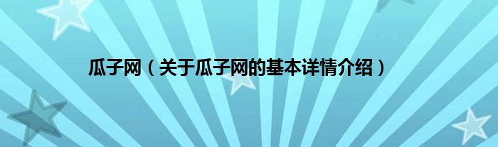 瓜子网（关于瓜子网的基本详情介绍）