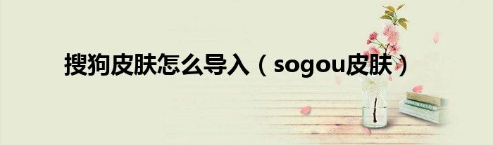 搜狗皮肤怎么导入（sogou皮肤）