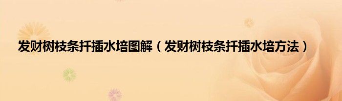 发财树枝条扦插水培图解（发财树枝条扦插水培方法）
