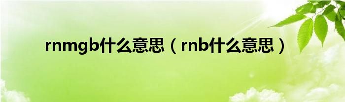 rnmgb什么意思（rnb什么意思）