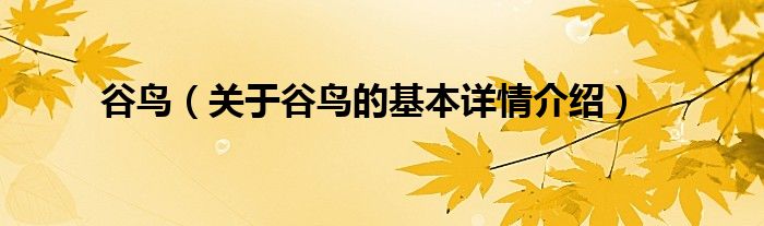 谷鸟（关于谷鸟的基本详情介绍）