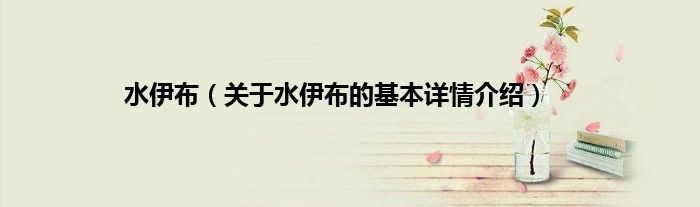 水伊布（关于水伊布的基本详情介绍）
