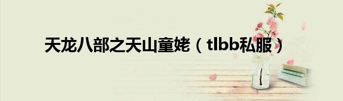 天龙八部之天山童姥（tlbb私服）