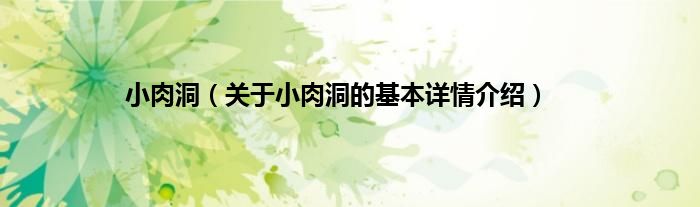 小肉洞(关于小肉洞的基本详情介绍)