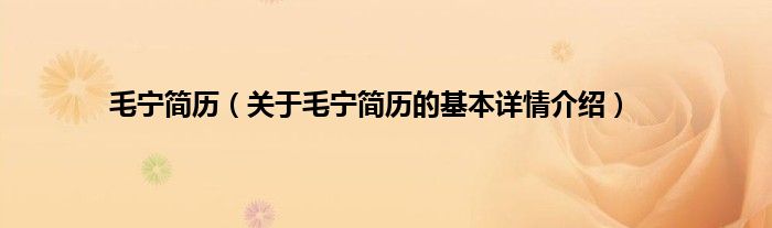 毛宁简历（关于毛宁简历的基本详情介绍）