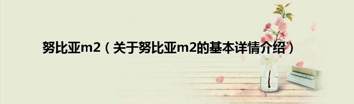 努比亚m2（关于努比亚m2的基本详情介绍）